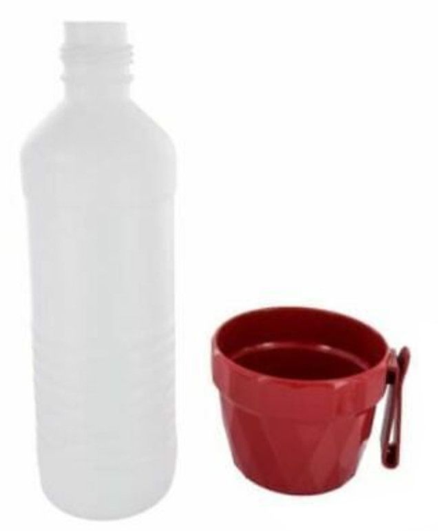 Buddy Cup w/ Water Bottle